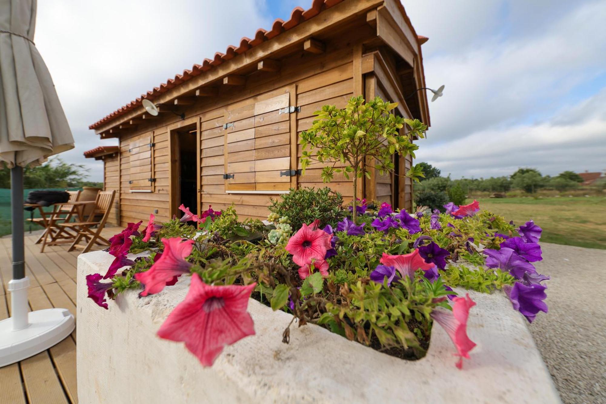 Renovated Wine Press House - With Pool Villa Porto de Mos  Phòng bức ảnh